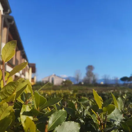 Apartment Srs Parco Sul Lago Sirmione